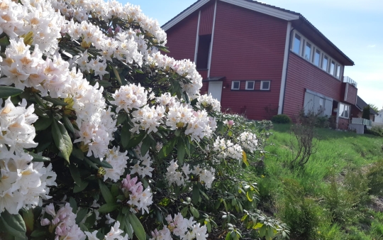 St. Elisabethsøstrenes kapell i Tønsberg